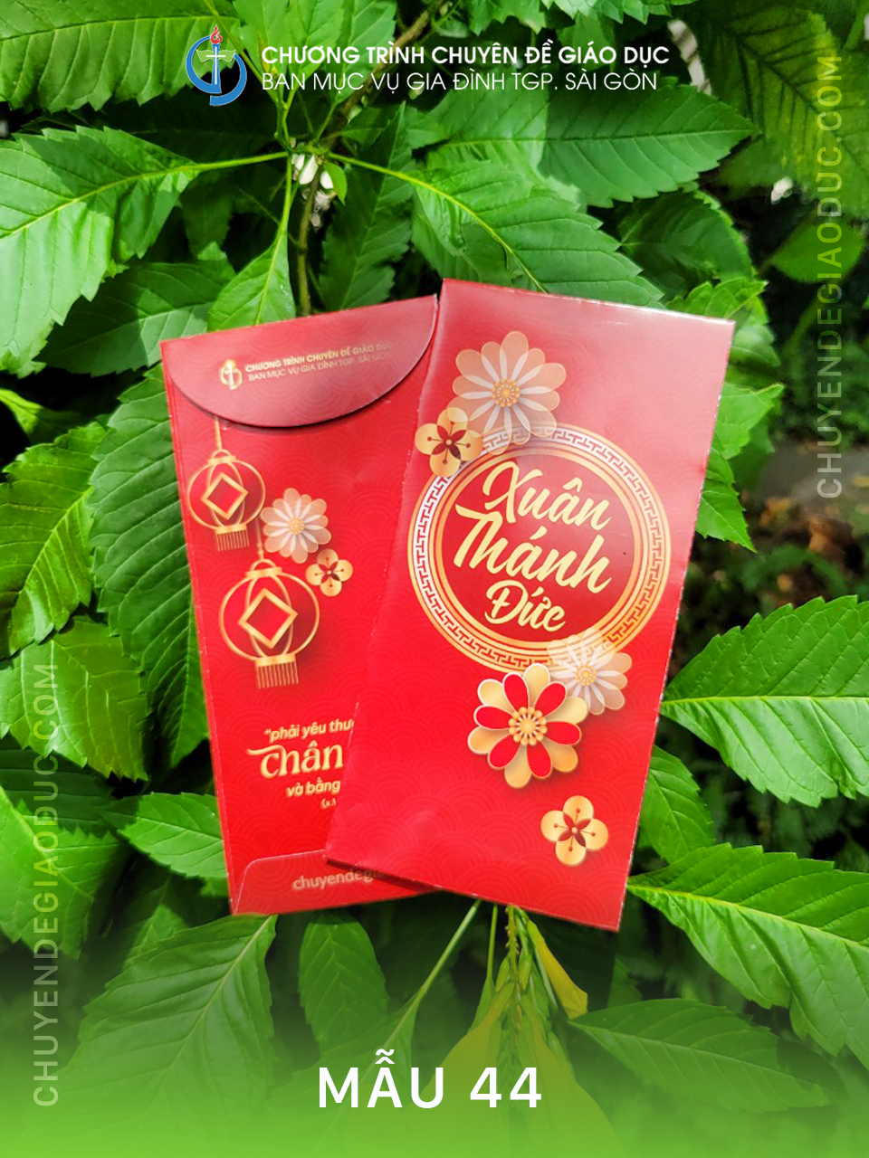 BAO LÌ XÌ XUÂN THÁNH ĐỨC [Mẫu 44]